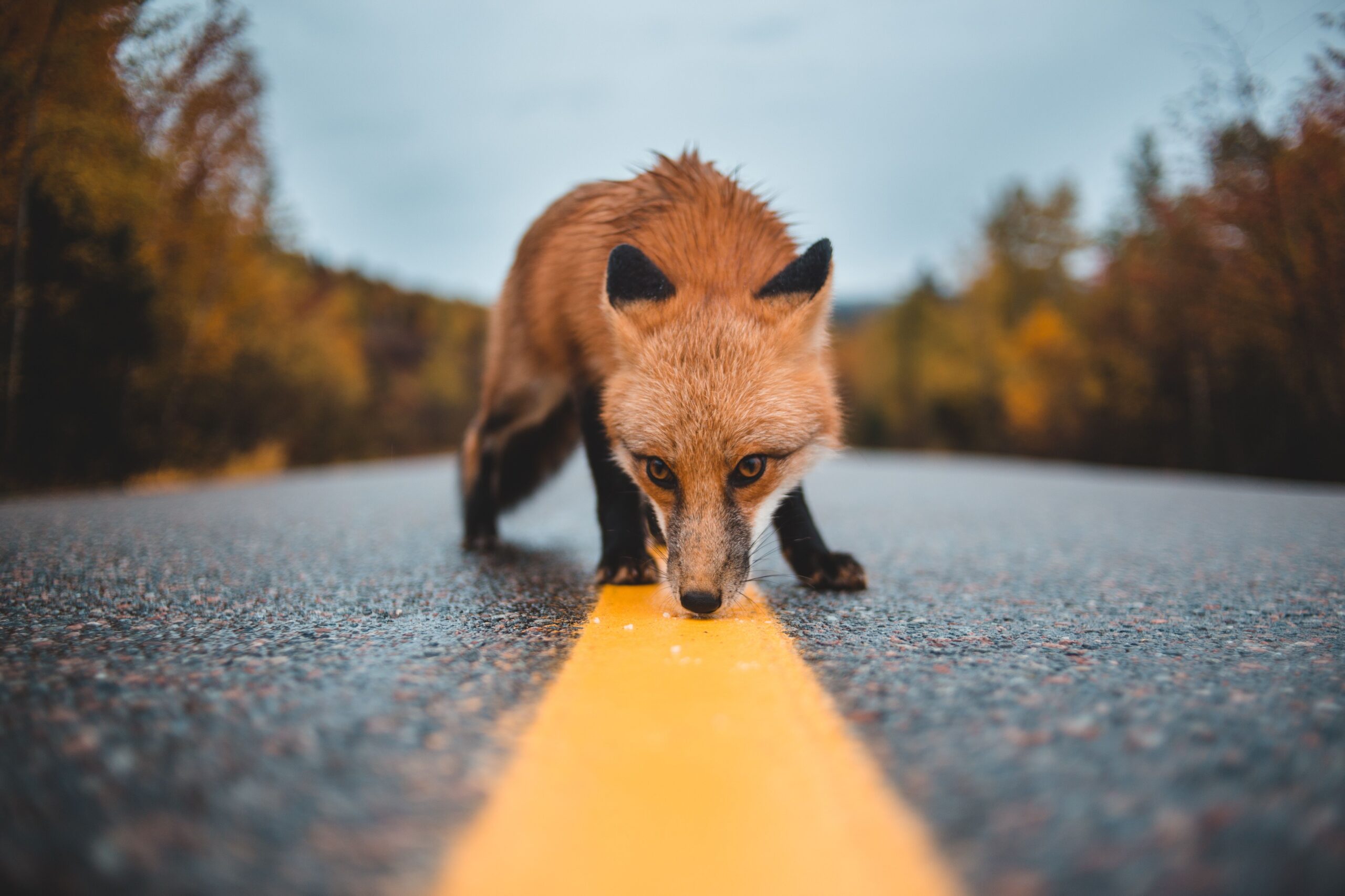 Five Operational Risks Small Human Service Organizations Commonly Overlook